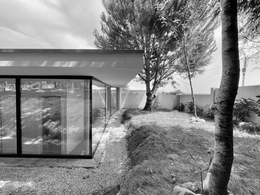 Vila Casa Do Carvalhal - Quinta Do Soldado Alquerubim Exteriér fotografie