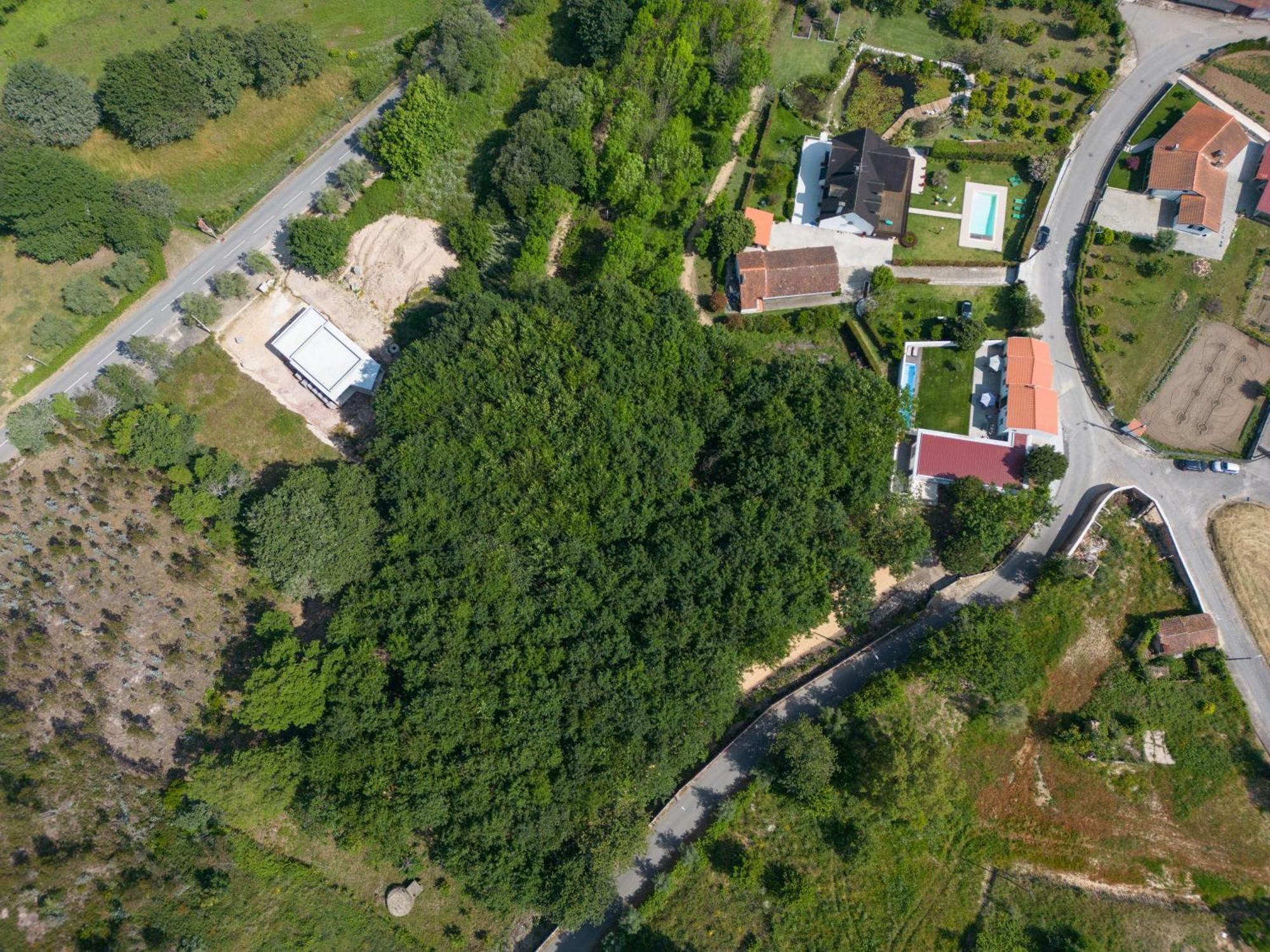 Vila Casa Do Carvalhal - Quinta Do Soldado Alquerubim Exteriér fotografie
